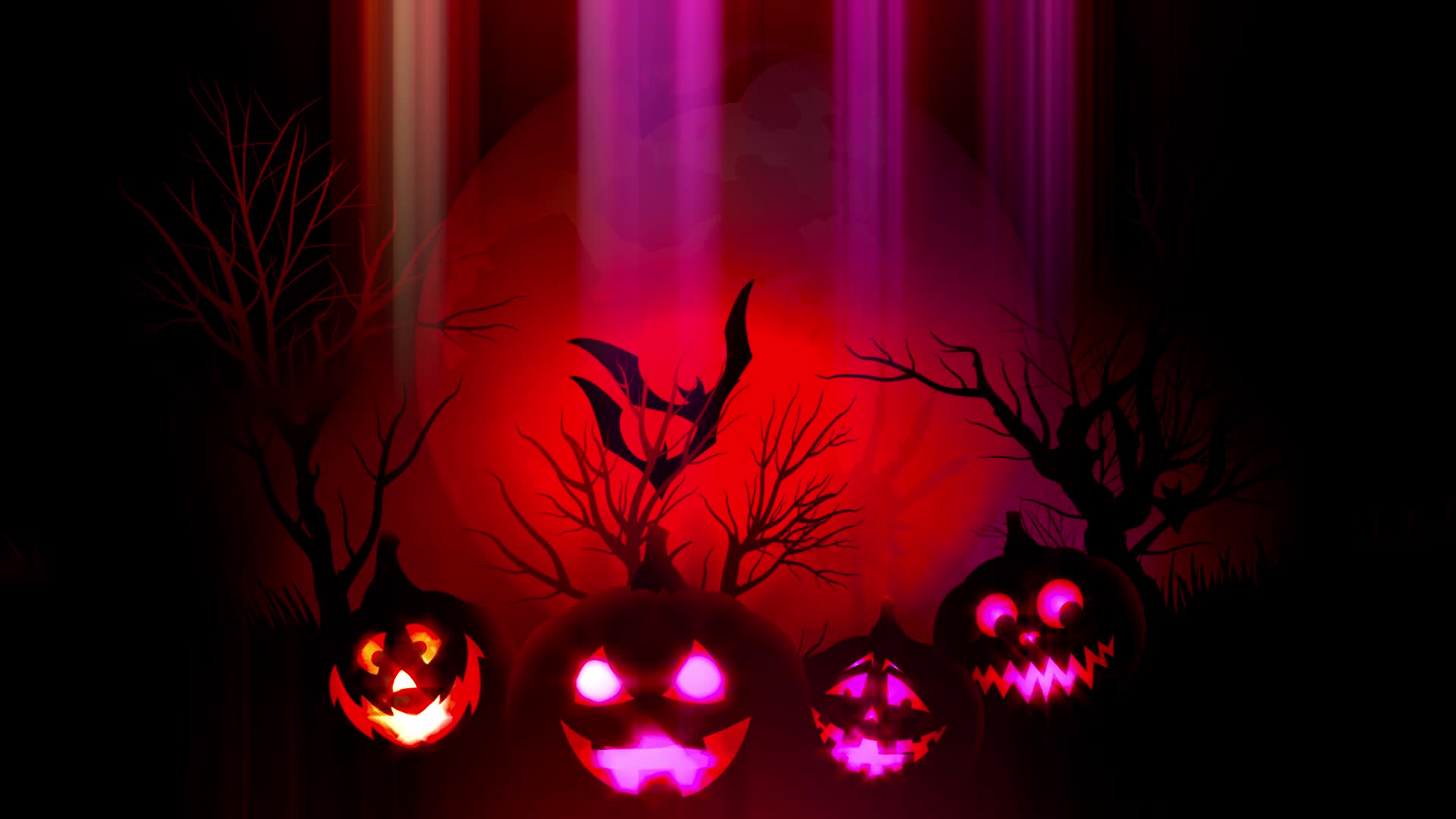 animation of spooky Jack-o-lantern Halloween pumpkins with flying bats