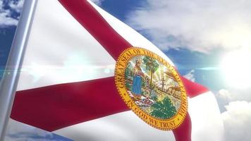 Waving flag of the state of Florida USA video