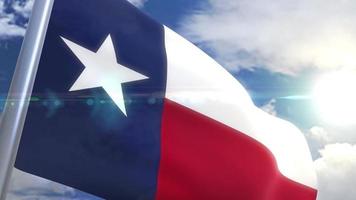 Ondeando la bandera del estado de Texas, EE. video