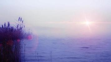 Matin brumeux à la mer maussade avec ciel nuageux et soleil sombre video