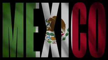 mexikanische Flagge mit mexikanischer Maske video