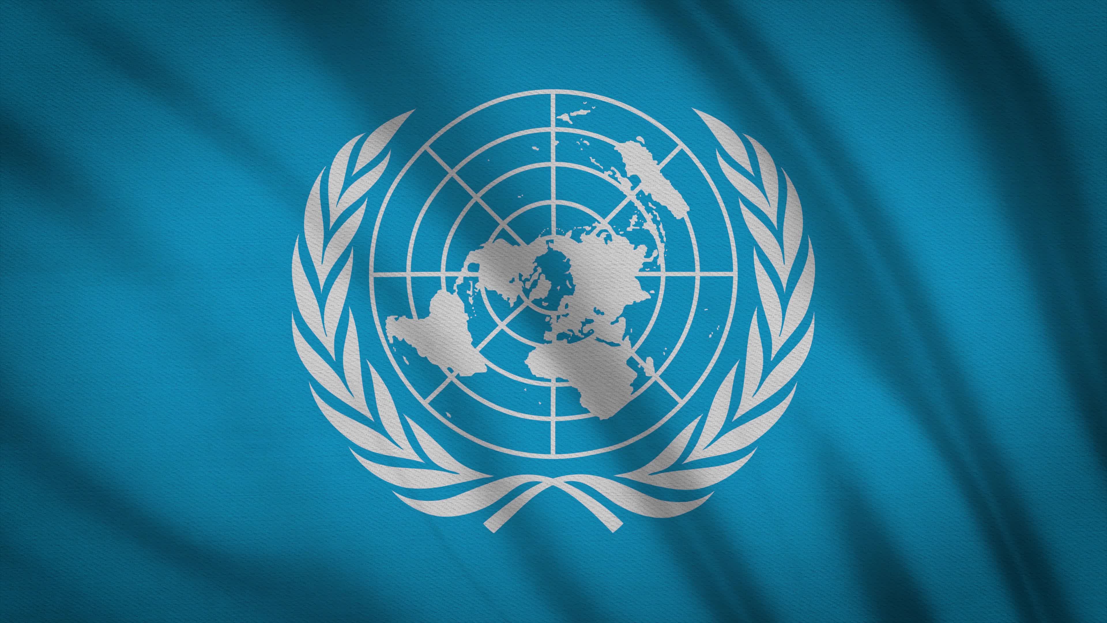United Nations Flag 1799993 Stock Video at Vecteezy