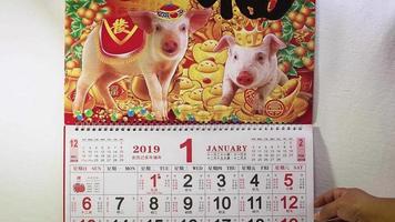 calendário ano novo chinês porco terrestre video