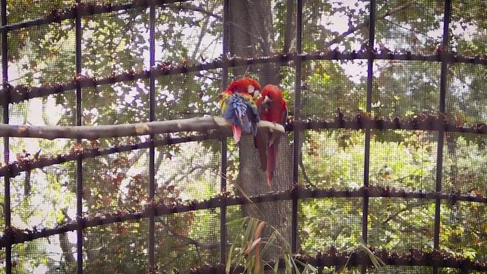 動物園影片