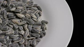 Cinematic, rotating shot of sunflower seeds on a white surface - SUNFLOWER SEEDS 010 video