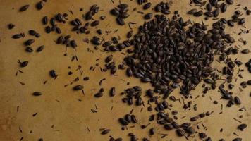 Rotating shot of barley and other beer brewing ingredients - BEER BREWING 141 video