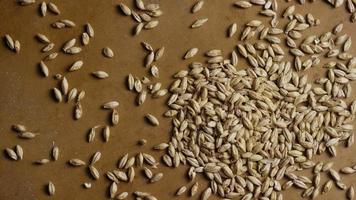 Rotating shot of barley and other beer brewing ingredients - BEER BREWING 132 video