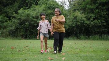 Slow motion of Happy grandmother with granddaughter playing in the park video