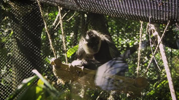 動物園影片