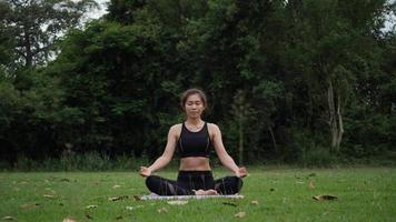vacker kvinna gör yoga i parken video