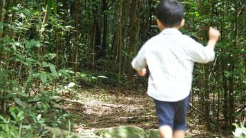 niño corriendo y jugando en el bosque video