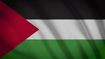 bandeira da palestina video