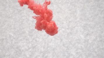 Red ink in water. Creative slow motion. On a white background video