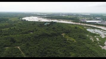 vista aérea da área agrícola da Tailândia. video