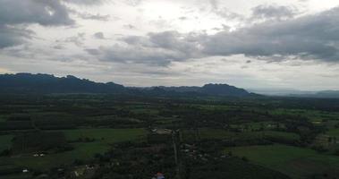 Vista aérea área de fazenda de arroz verde agrícola da Tailândia. video