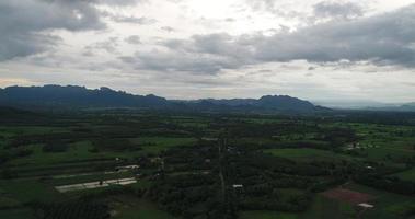 Flygfoto jordbruksområde för grönt ris gård i Thailand. video