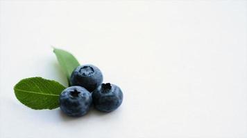 Blueberries and Green leaves video