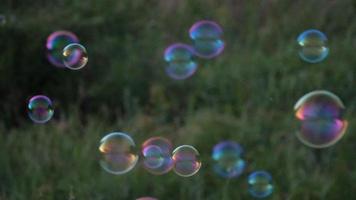 bulles au parc video