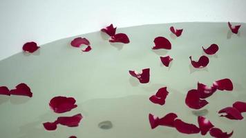 pétalas de rosa em uma banheira