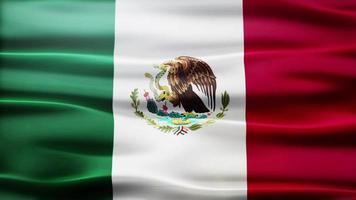 boucle de drapeau mexique video