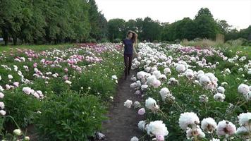 Young Woman Walking In A Field of Peonies video