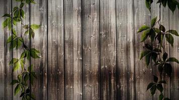 Wooden Planks Background video