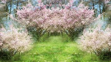 Fantasy Springtime Garden  video
