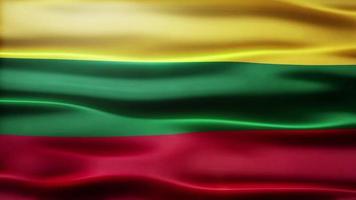 Lithuania Flag Loop video