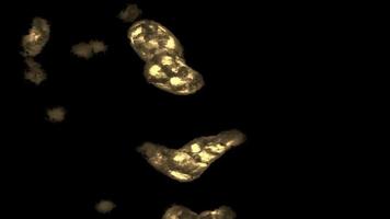 mikroskopisch kleine organische Mikroben video