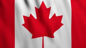bandeira canadense acenando video