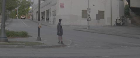 Crossing the Street video