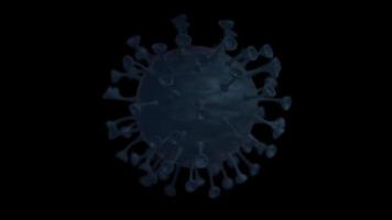 nouveau virus corona covid-19 video