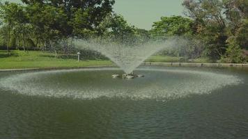 una fontana nel mezzo del parco