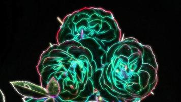 Neon Colored Roses video