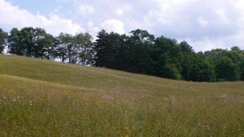 Beautiful rolling hills covered by a meadow video