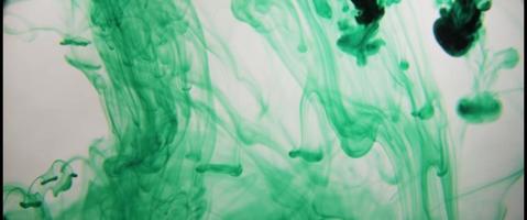 texture verte avec transparence se déplaçant lentement dans l'eau en 4k video