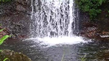 detalj av lite vattenfall och flod video