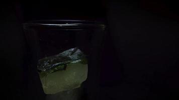 hielo con hojas de menta en agua mineral