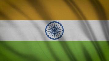 bandeira da índia video