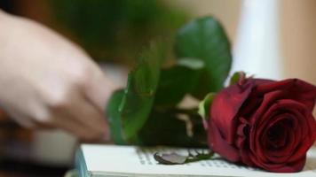 Nahaufnahme eine rote Rose vom Tisch mit Buch und Kerzen aufheben video