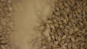 Slow motion footage of beer home brewing supplies and processes - BEER BREWING 019 video