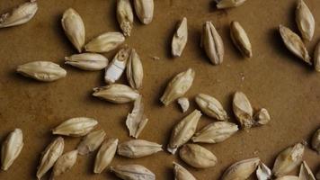Rotating shot of barley and other beer brewing ingredients - BEER BREWING 136 video