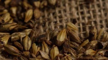 Rotating shot of barley and other beer brewing ingredients - BEER BREWING 236 video