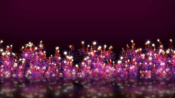 particelle rosa come fuochi d'artificio video