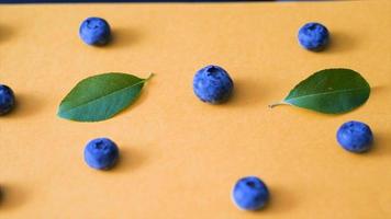 Blueberries and Green leaves video