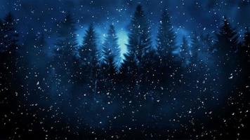 Winter Night Animation Background video