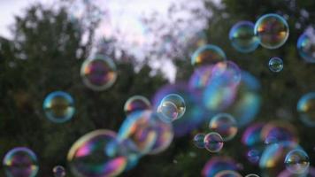 bulles au parc video