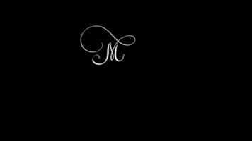 animation de calligraphie joyeux noël video