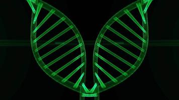 vidéo d'arrière-plan ADN double hélice video