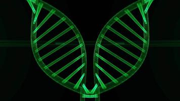 Double Helix DNA Background Video